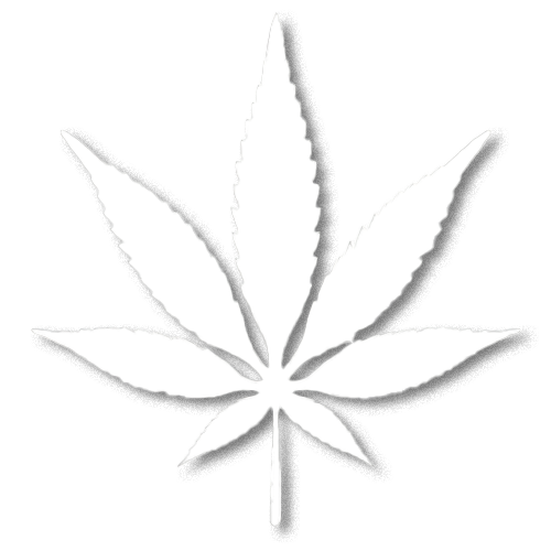 white cannabis leaf